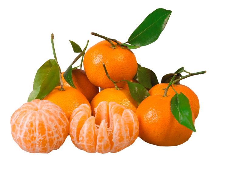 Mandarine/Clementine mit Blatt