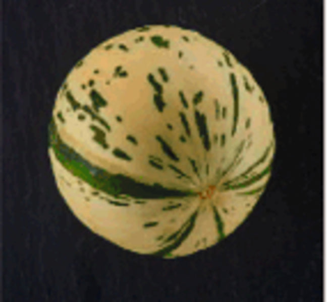 Snowball Melone