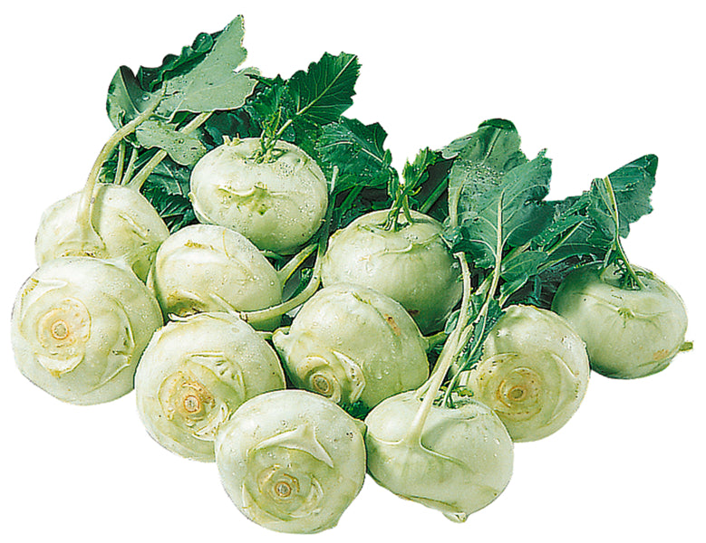 Kohlrabi
