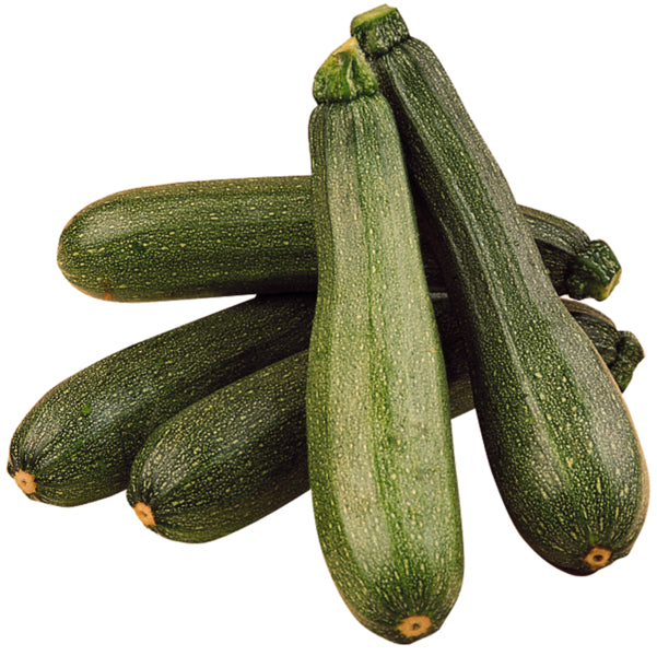 Bio Demeter Zucchini grün