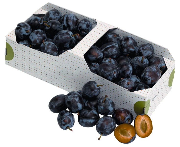 products/000000000004503624.jpg