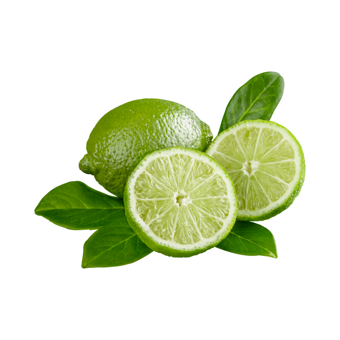 Bio Persische Limetten
