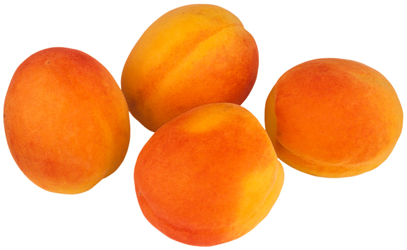 Aprikosen 1kg