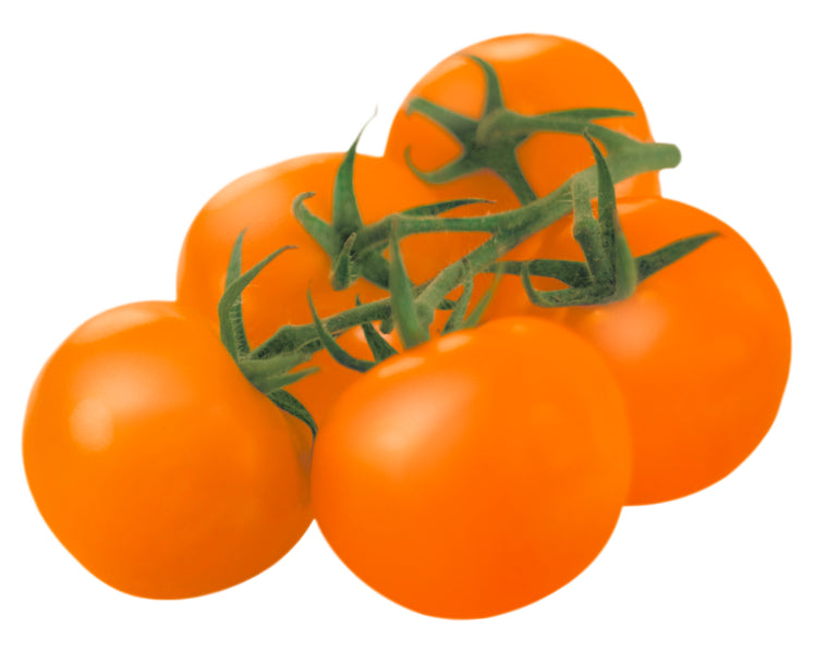 Fleischtomate RAF