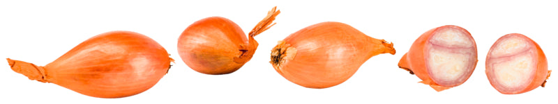 Schalotten