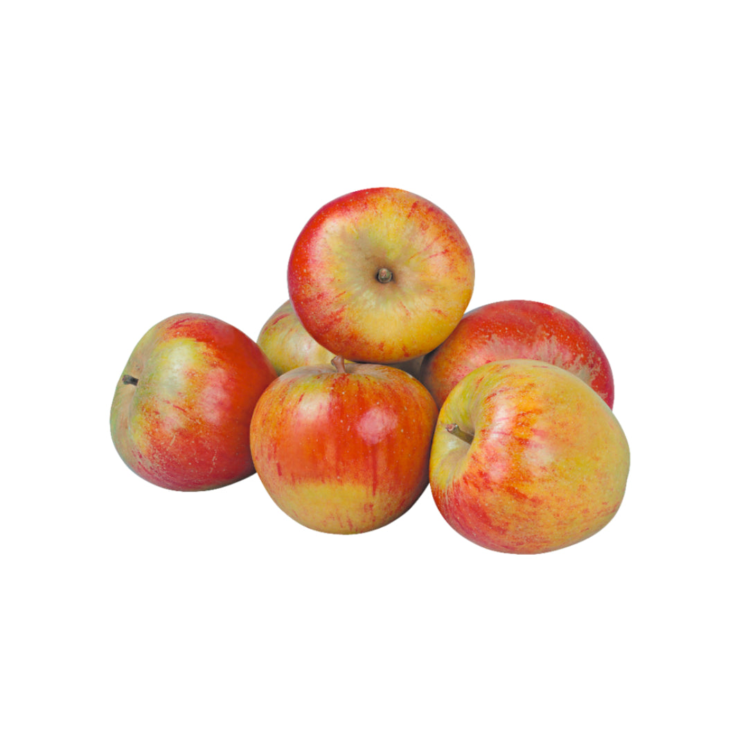 Äpfel Holsteiner Cox