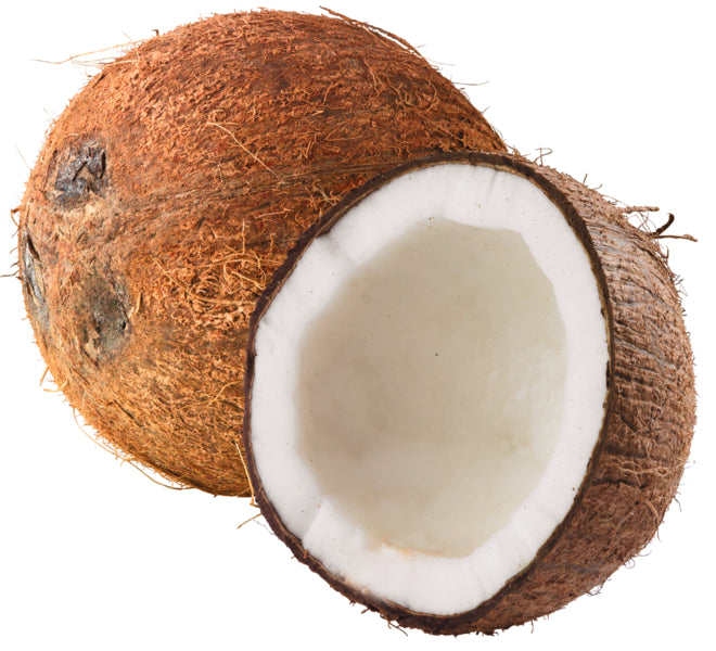Kokosnuss