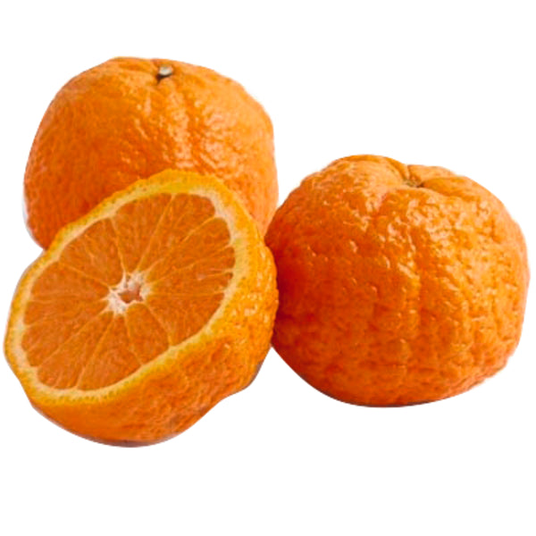 Mandarine EDK mit Blatt
