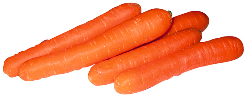 Möhren groß