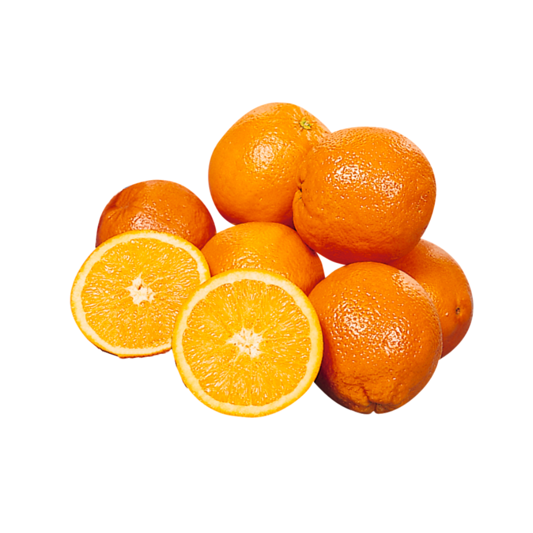 products/000000000004817187.png