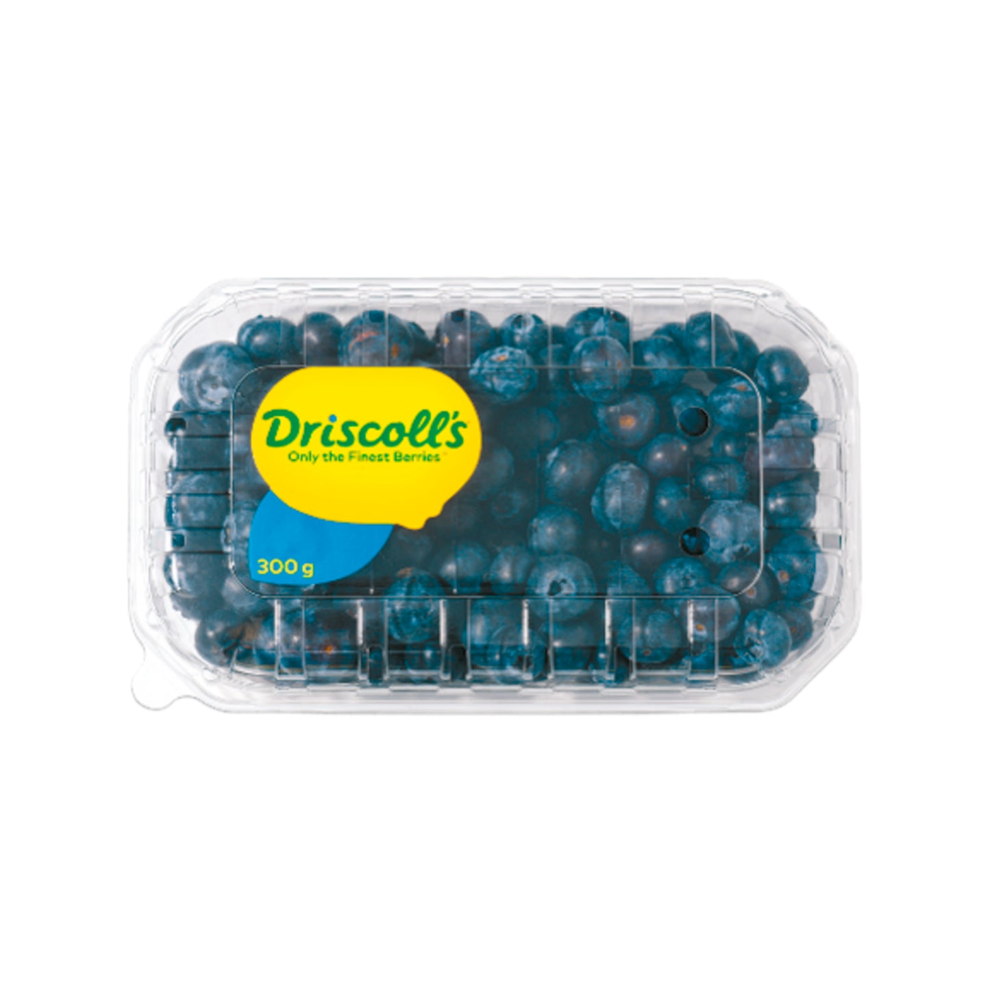 Driscoll's Kulturheidelbeeren Marokko Klasse I 125g Klarsichtpackung