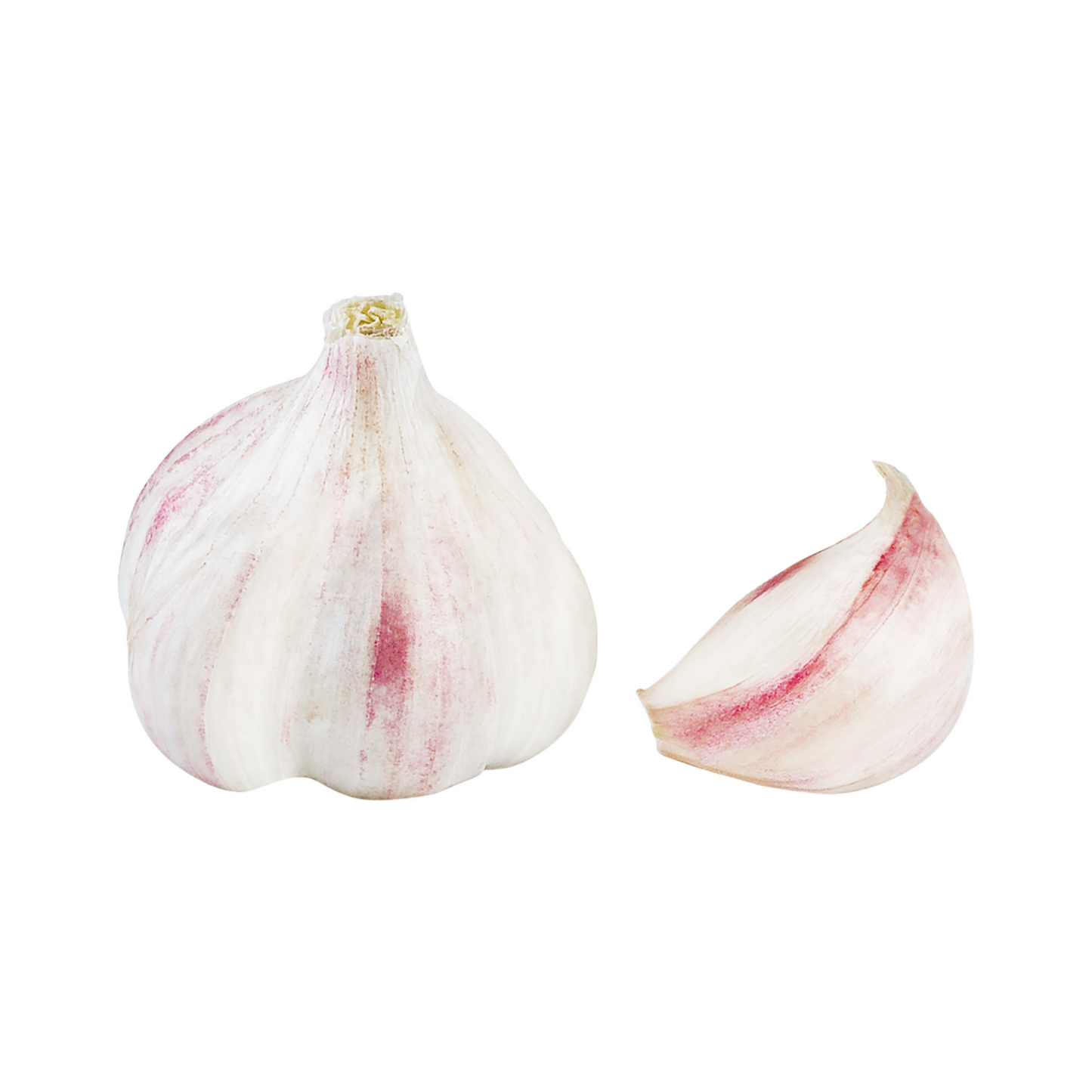 Knoblauch trocken violett Solo China Klasse I 250g Schale im Netz