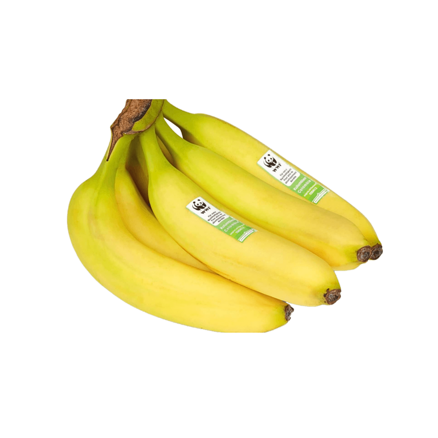 products/000000000081270730.png