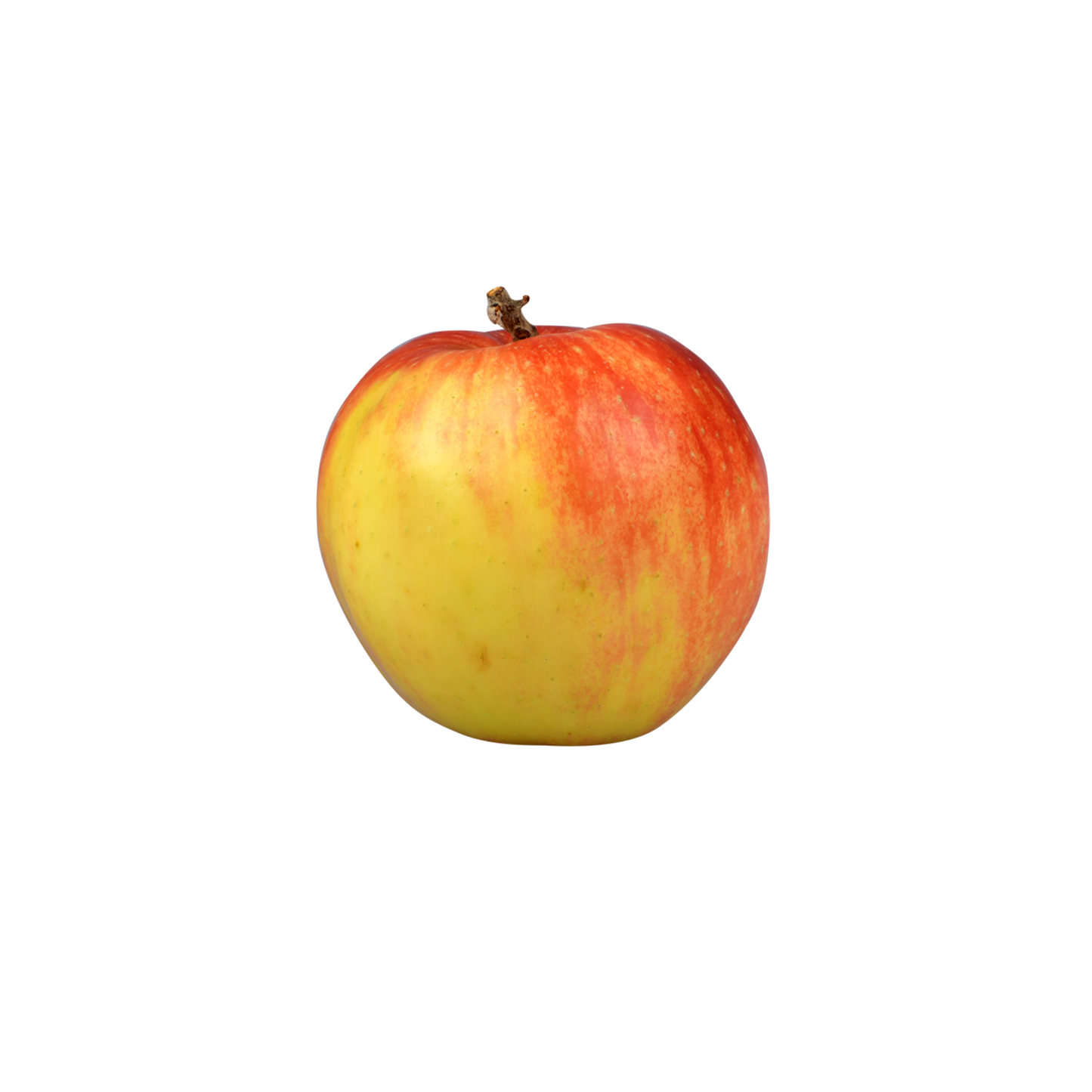 products/000000000081385755.png