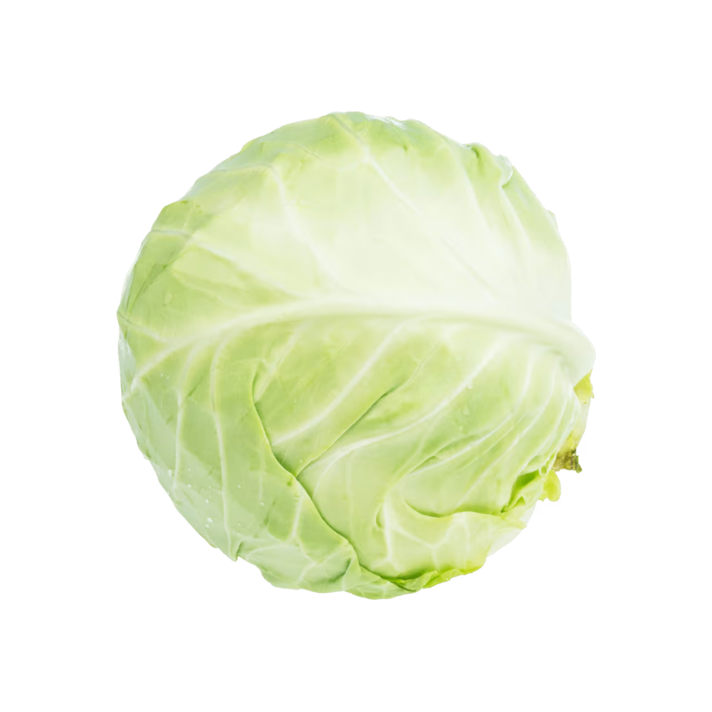 products/000000000081411258.png