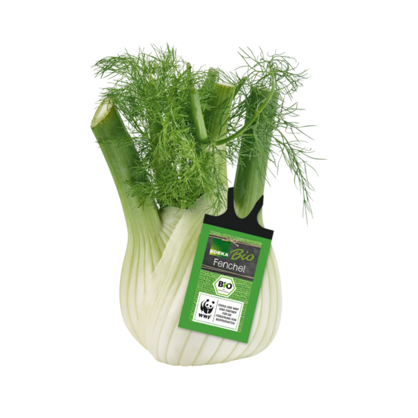 Bio EDEKA Fenchel Italien Klasse II 500g Schale mit Flowpack