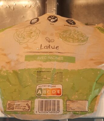 Ballensalat Kopfsalat Belgien getütet