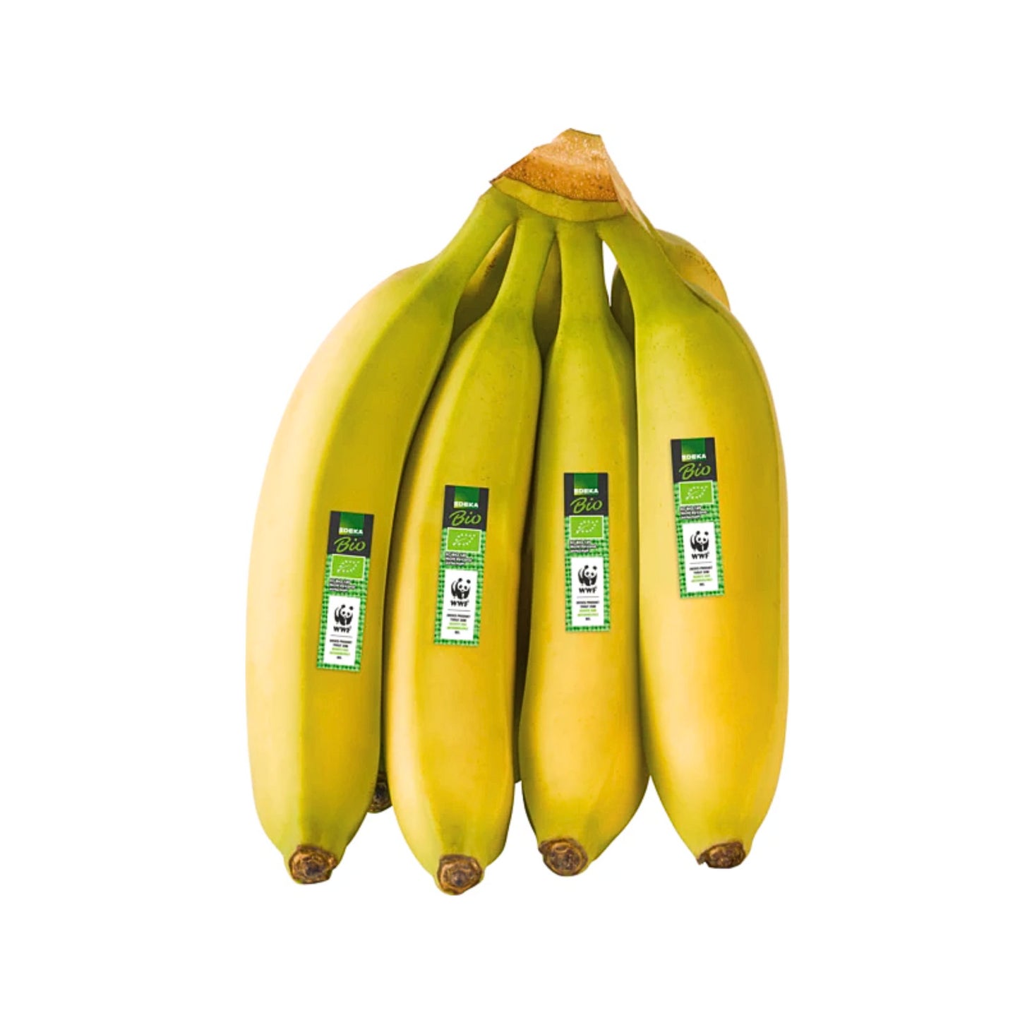 Bio EDEKA Bananen WWF Dominik.Rep.