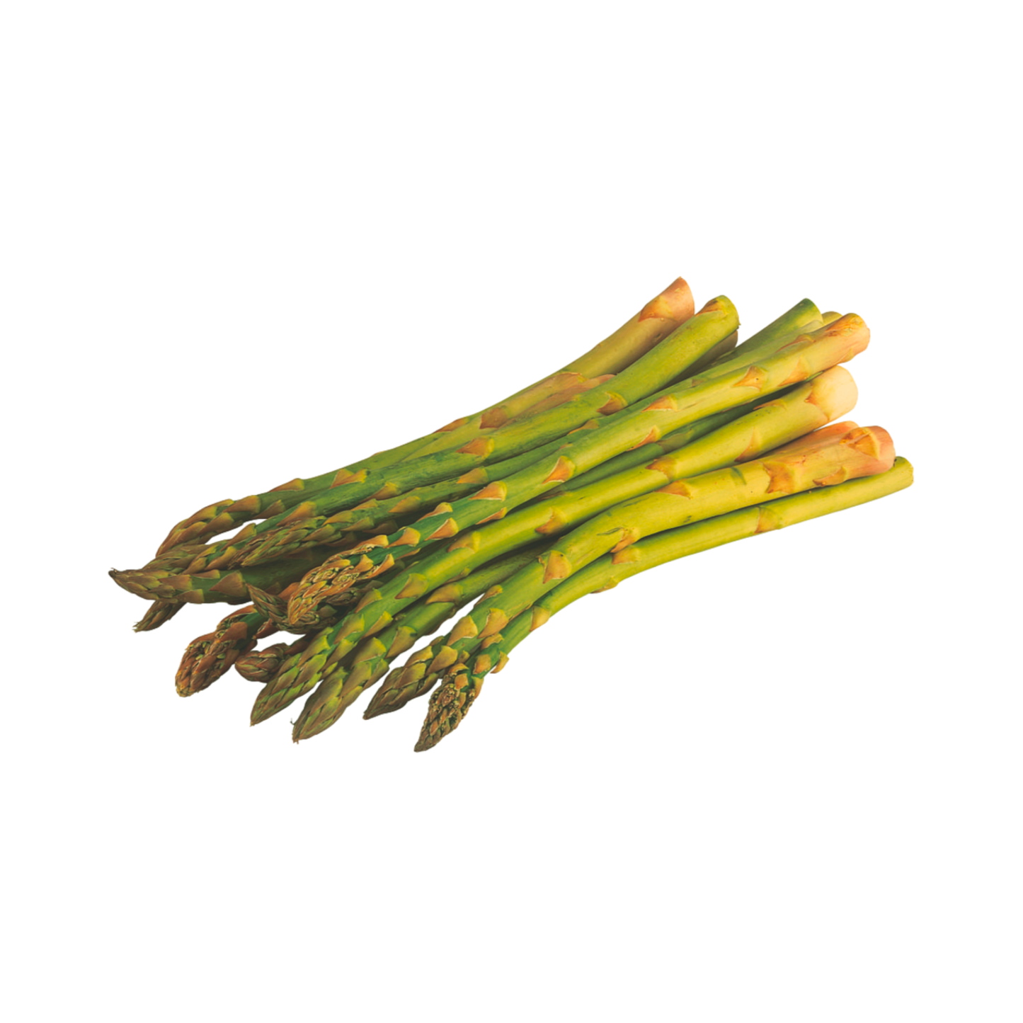 Bio Spargel grün 8mm und darüber Griechenland Klasse II 400g Bund