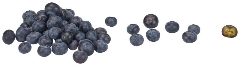 Bio Kulturheidelbeeren Polen Klasse II 300g TopSeal