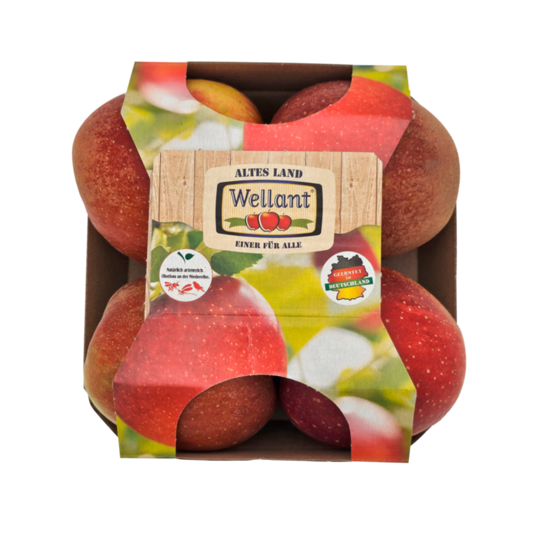 Äpfel Wellant Deutschland Klasse I 900g Foodtainer