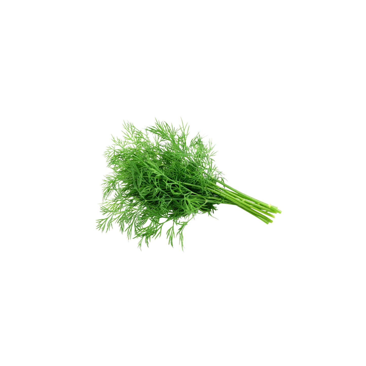 Dill
