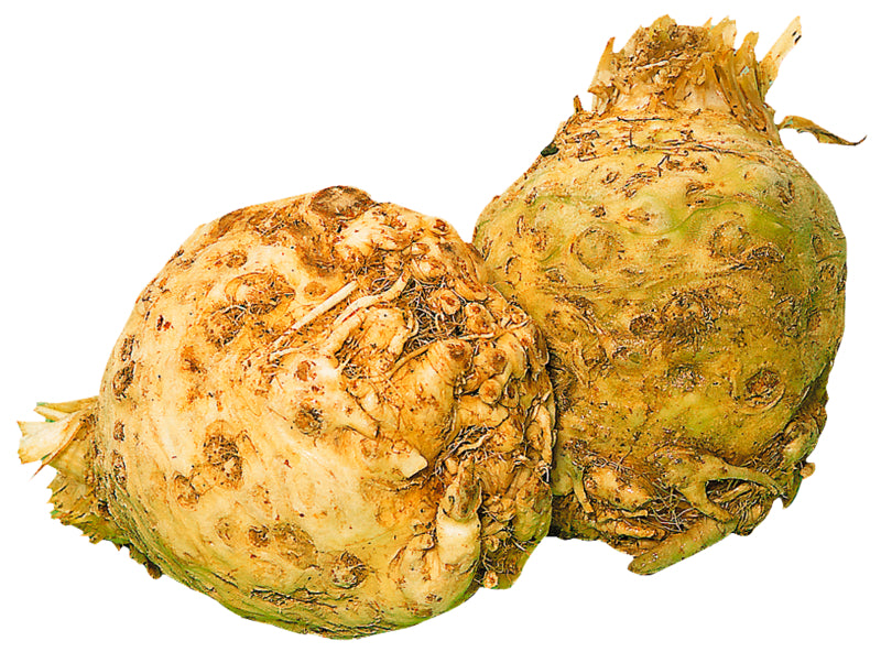 Unsere Heimat Knollensellerie Deutschland Klasse I