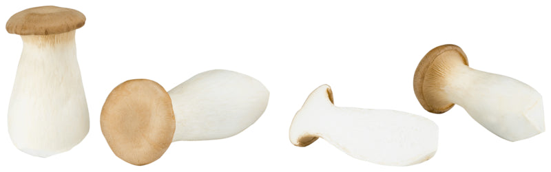 EDEKA Bio Kräuterseitling mittel (25-55mm) Deutschland