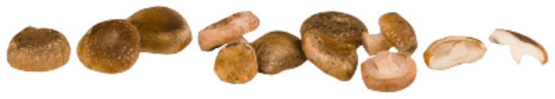 Bio EDEKA Shiitake Pilze mittel (30-60mm) Deutschland