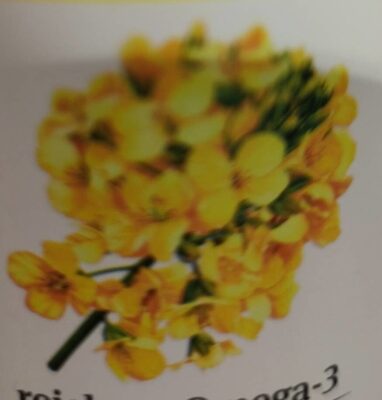 Bio Rapunzel Rapsöl mild 0,5l