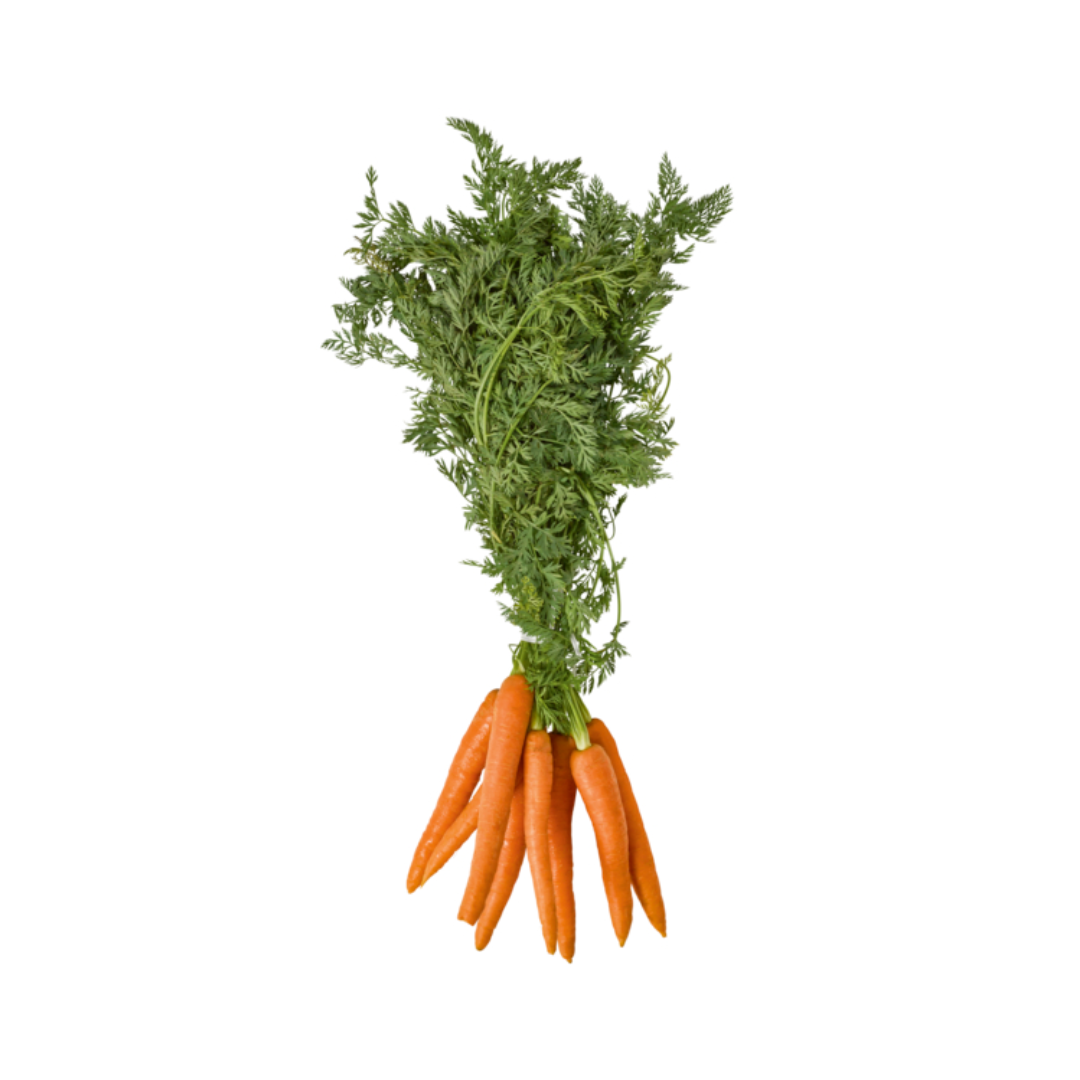 Bundmöhren Italien Klasse I 750g Bund
