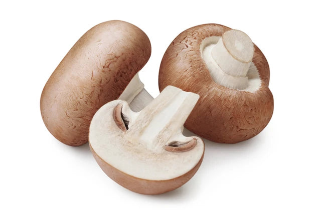 GUT&GÜNSTIG Champignons braun 400g