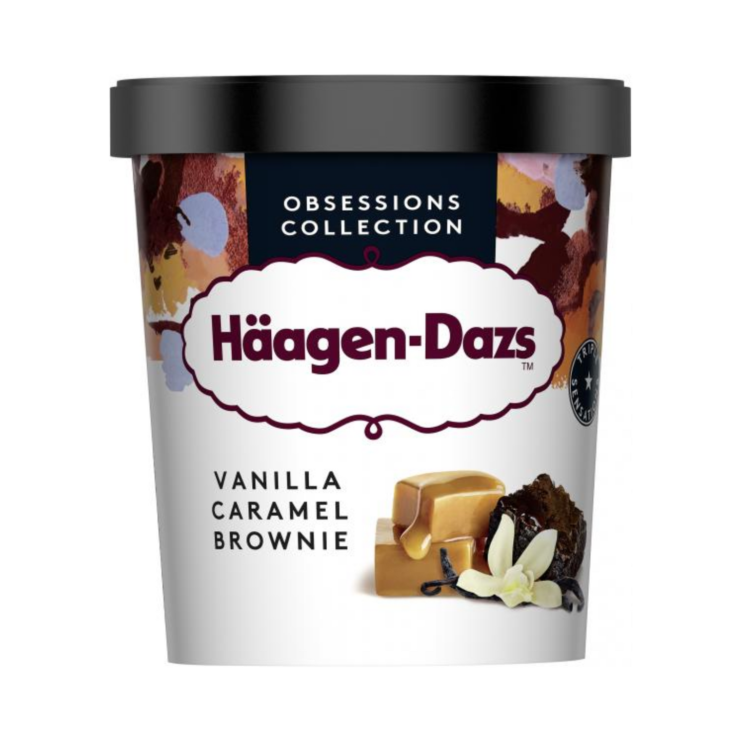 Häagen Dazs Vanilla Car Brownie 460ml