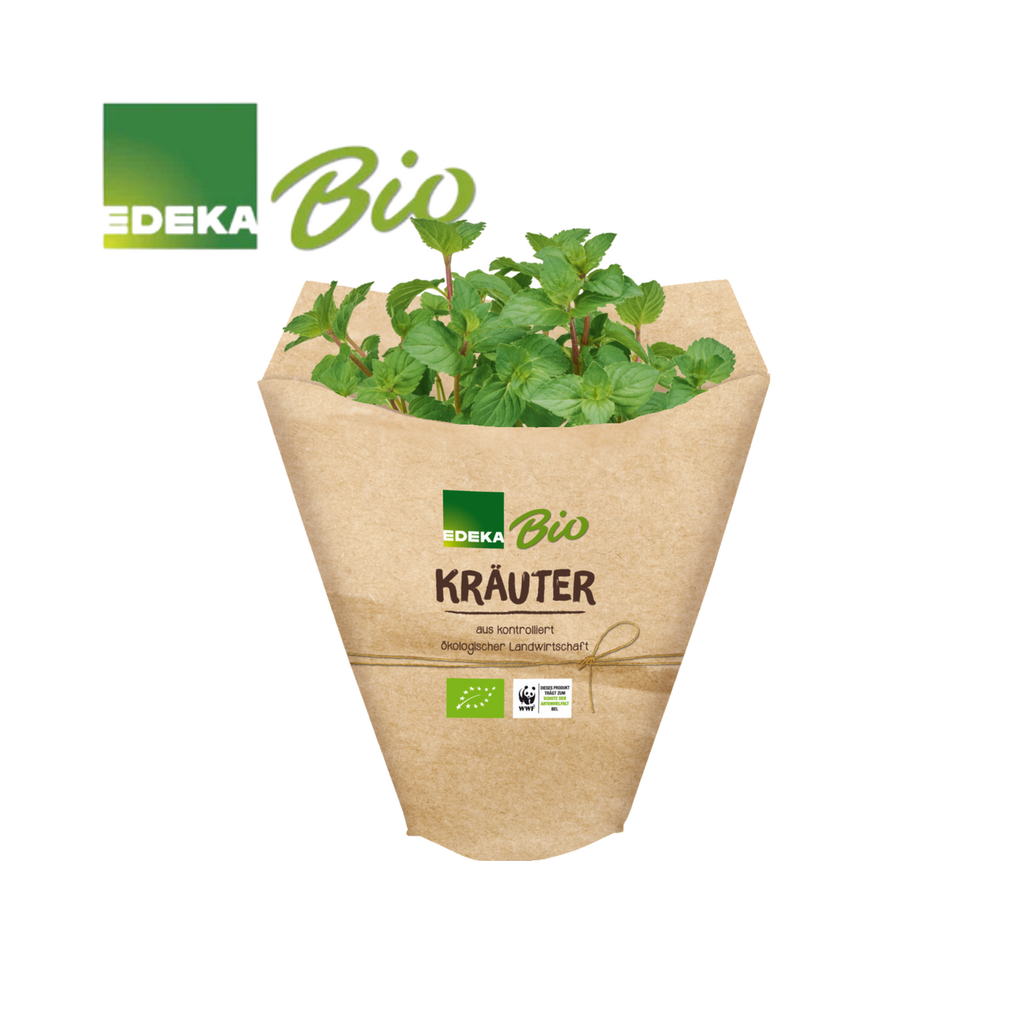 EDEKA Bio Minze im Topf 13cm