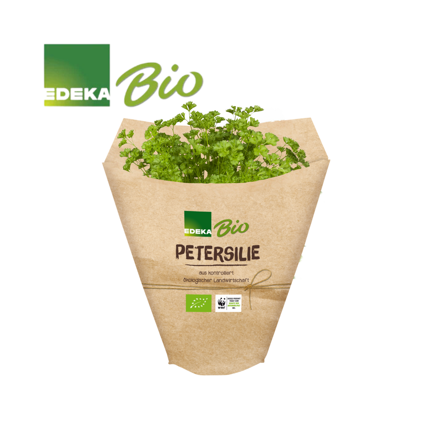 EDEKA Bio Petersilie kraus im Topf 13cm
