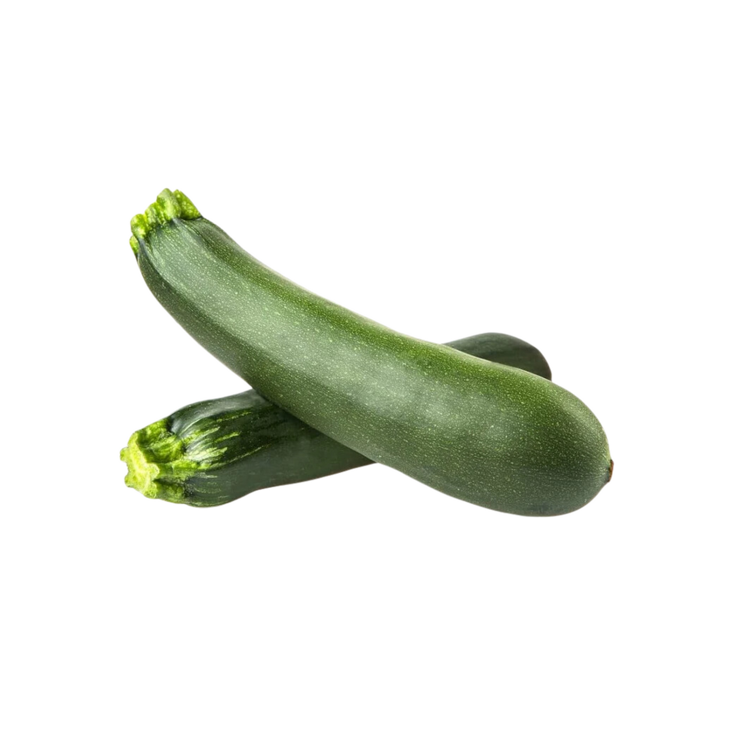 Zucchini