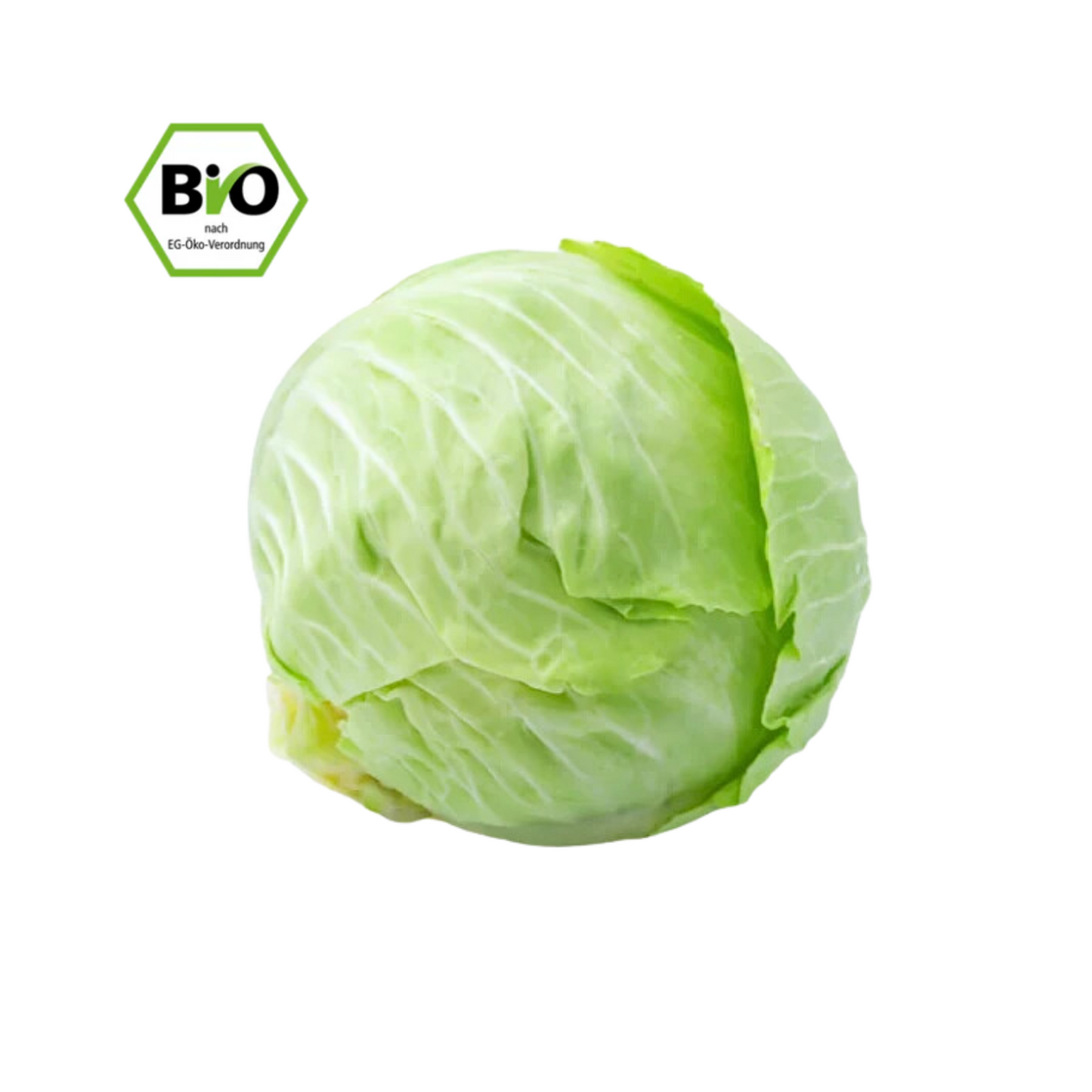 Bio Weißkohl 1 Stück