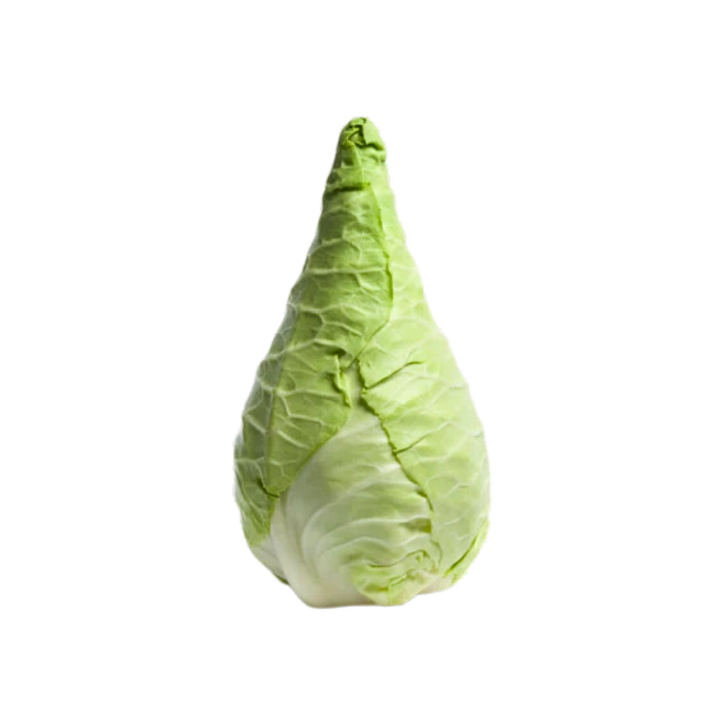 Spitzkohl 1 Stück