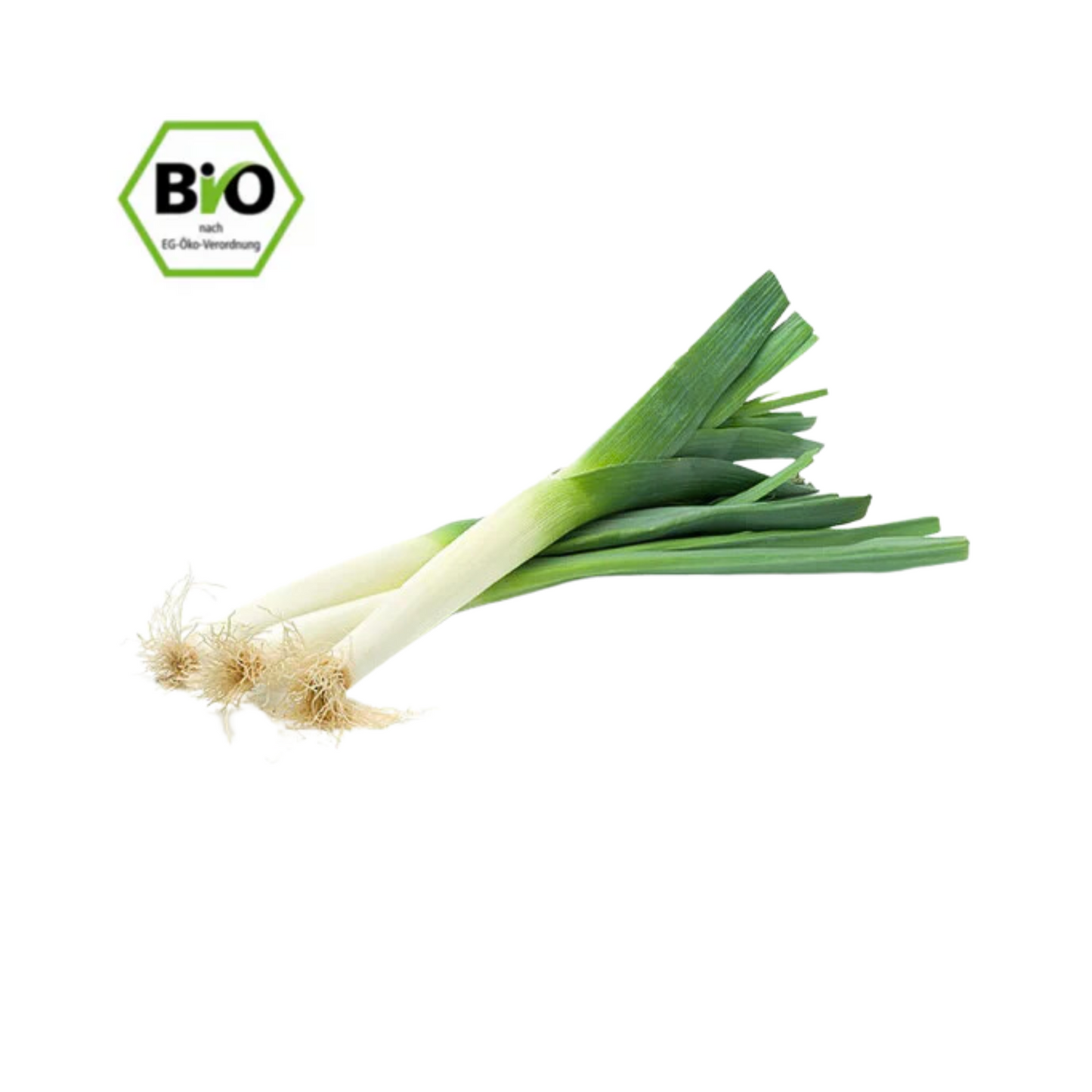 Bio Porree Bund 500g