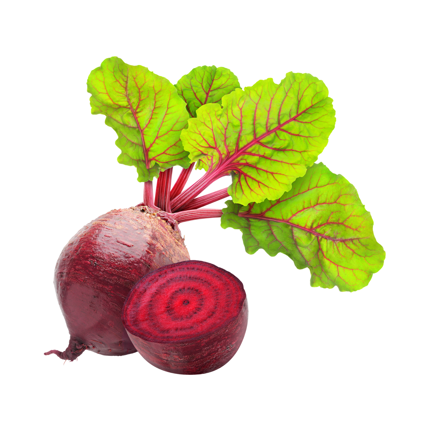 Bio Rote Bete Dänemark Klasse II 1kg Beutel