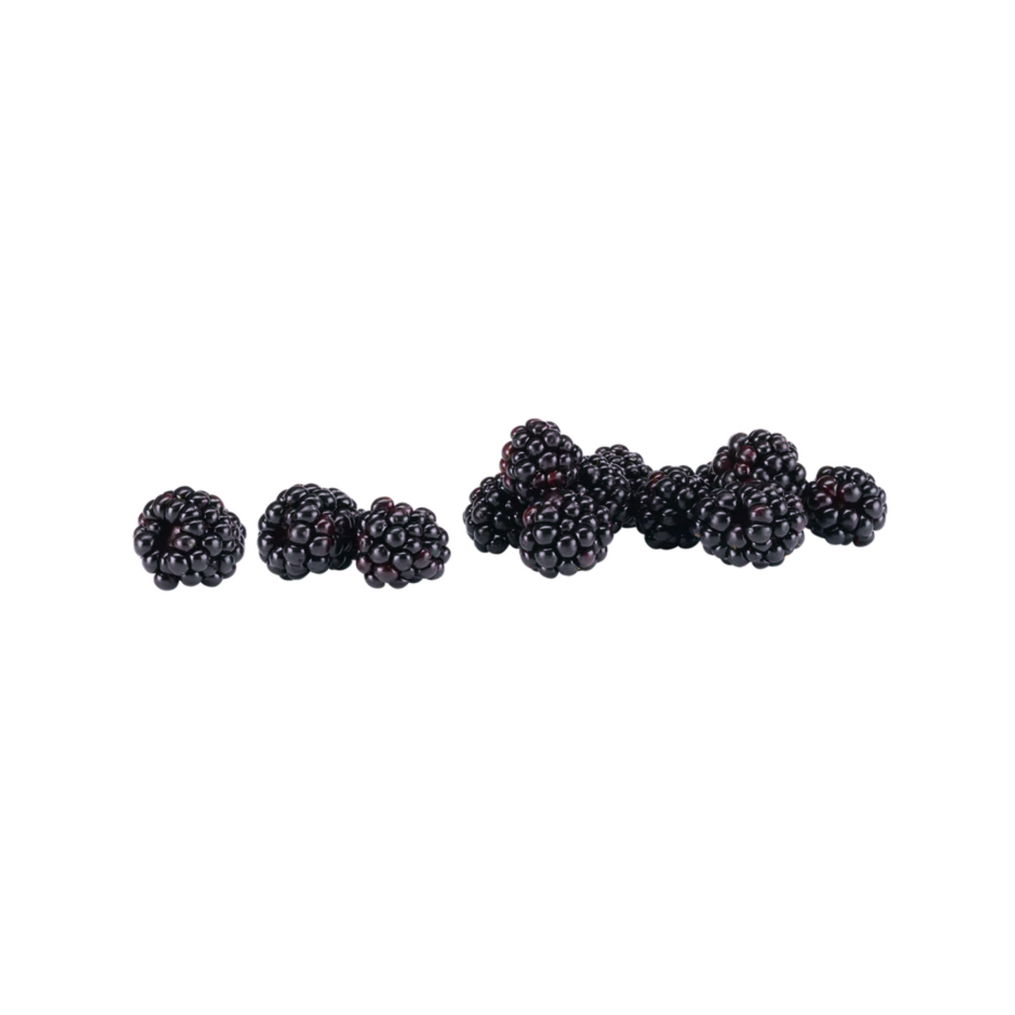 Brombeeren 125g