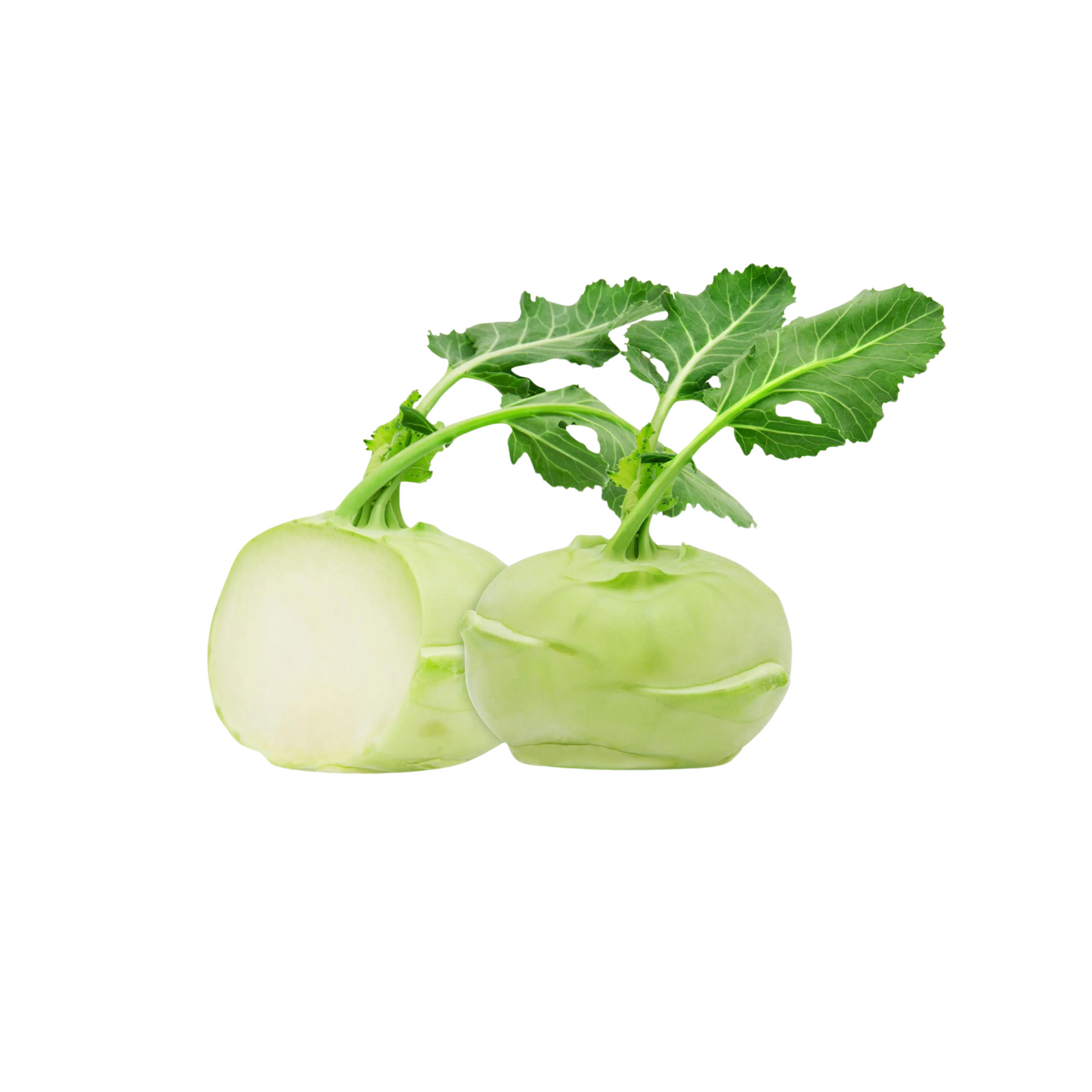 Kohlrabi