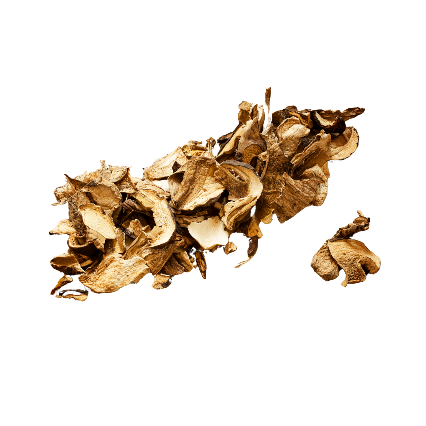 Bio Pilzgarten Steinpilze getrocknet 15g