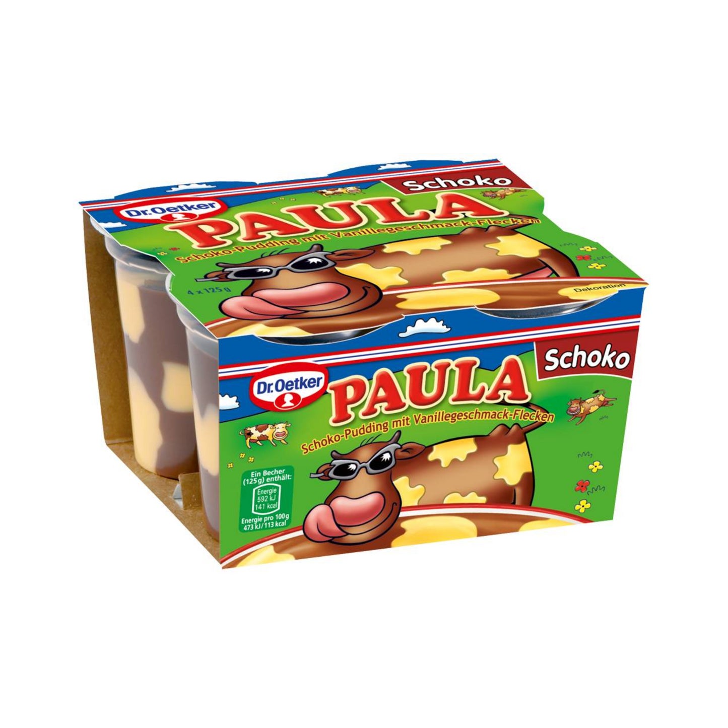 Dr.Oetker Paula Schokoladenpudding mit Vanille 4x125g