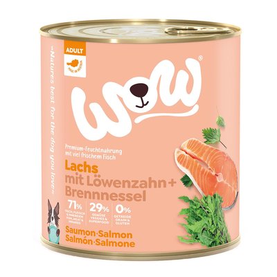 Wow Adult Lachs 800g