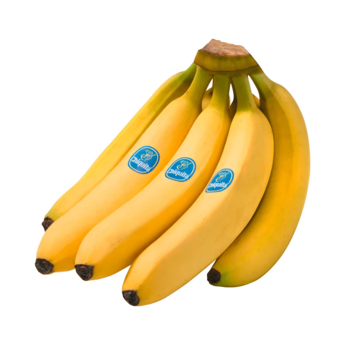 products/000000000004462495.jpg