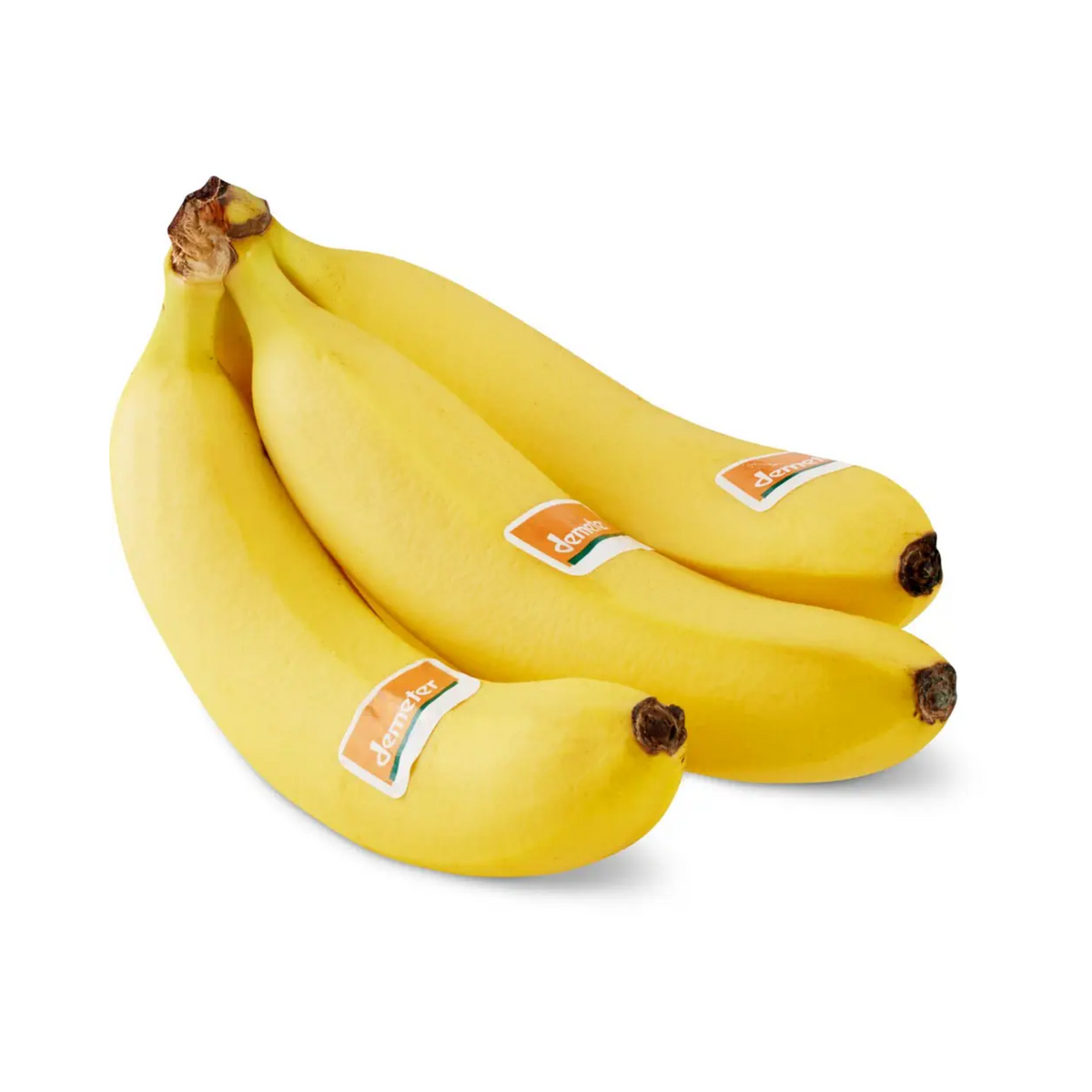 products/000000000004466732.png