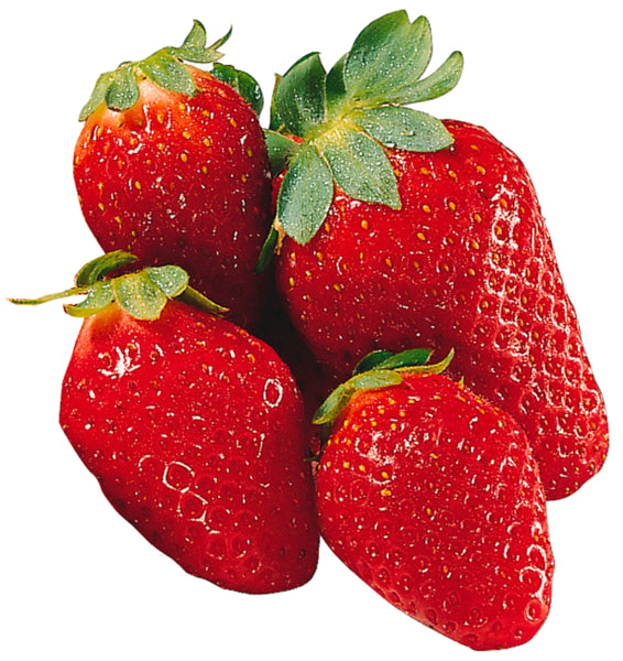 products/000000000004469939.jpg