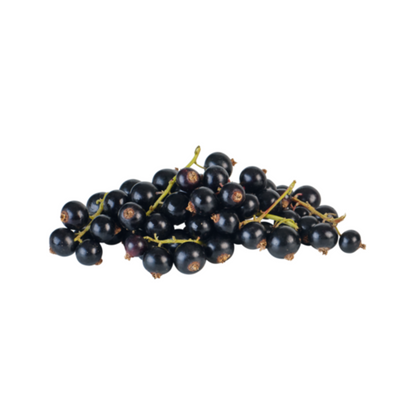Johannisbeeren schwarz