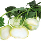 products/000000000004475125.jpg